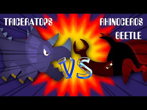Triceratops VS Rhinoceros Beetle | 트리케라톱스 VS 장수풍뎅이 [Monster Dinosaur Insect Battle | 괴물 공룡 곤충 배틀]