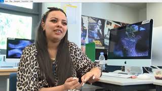 Art, Design, Animation and Games Design, Creative Media, Fashion and Performing Arts webinar