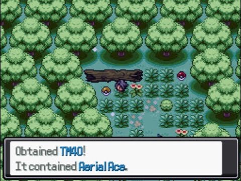 Pokemon Reborn Tm