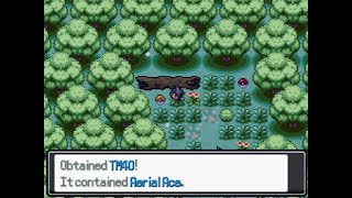 Pokemon Reborn TM LOCATIONS Guide