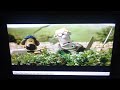 Shaun The Sheep Mower Mouth Speed Up Slow GoTube
