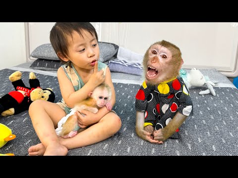 Diem hugs monkey Kaka and monkey Mit while sleeping look so cute