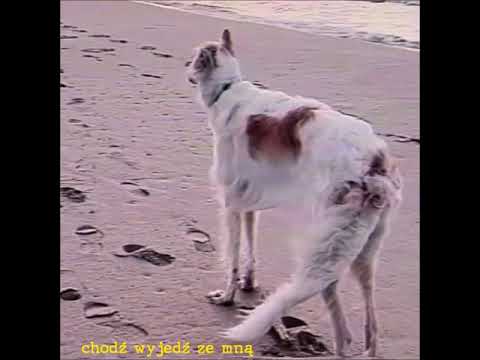 Sylwia Łoboda - Kolor Morza (Live Session)