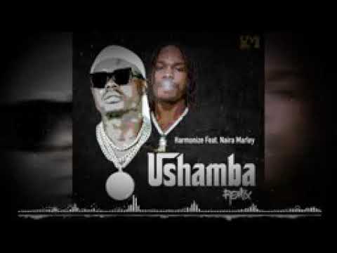 harmonize ft naira Marley -ushamba remix official audio