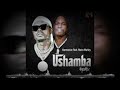 harmonize ft naira Marley -ushamba remix official audio