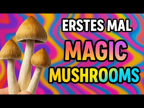 Magic Mushrooms - Mein erster Trip