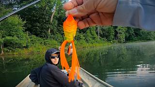 Hunting Snakeheads & Catching Bass!!!