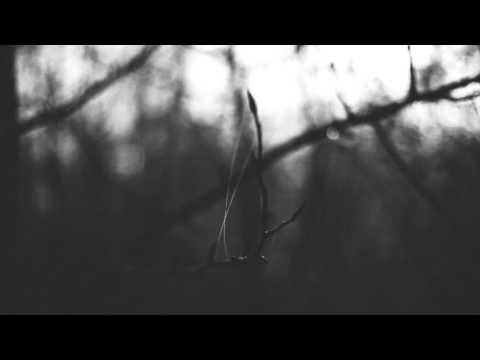 The New Amsterdams - Has Anyone Seen My Wings