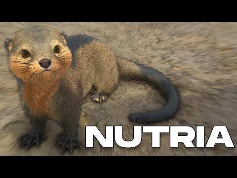 6 WAYS TO TAME AN OTTER & ALL ITS SKILLS (PC, PS & XBOX) - ARK