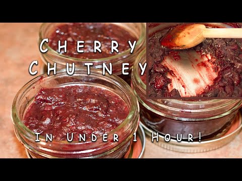 download lagu mp3 mp4 Sour Cherry Chutney Recipe, download lagu Sour Cherry Chutney Recipe gratis, unduh video klip Sour Cherry Chutney Recipe