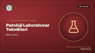 Patoloji Laboratuvar Teknikleri Ne İş Yapar? Kimler İçin Uygun? (2025-