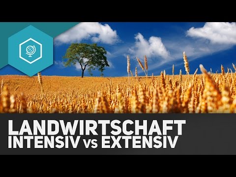 , title : 'Intensive und Extensive Landwirtschaft - Landwirtschaft in Industrie- & Entwicklungsländern 2'