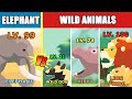 Elephant vs Wild Animals Level Challenge | Animal Animation