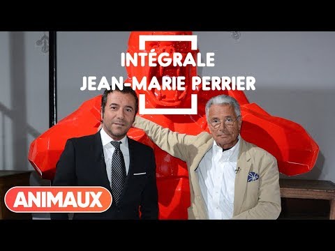Jean-Marie Perrier dans Animaux Stars (intégrale) - Animaux