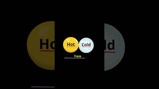 🔥 What is Thermal Equilibrium? | Class 11 Physics & Chemistry | Thermodynamics Explained