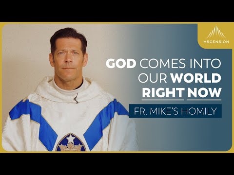 "Face to Face: Two Words" | The Nativity of the Lord (Fr. Mike's Homily) #christmasmass