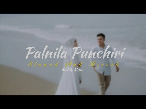 Palnila Punchiri Mappila Song [ Slowed And Riverb ] Muhd Abxn