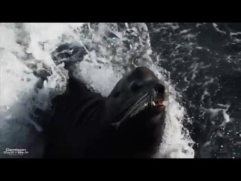 64 Viking Sportfish 2009 Walkthrough [$2,000,000]