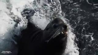 VIDEO Ac2QSH4RVSc