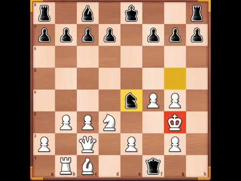 Partita a scacchi online.... Chi vincerà?