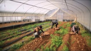 나는 농부다 82회 1부 - 세 남자의 뜨거운 감자밭Ⅰ