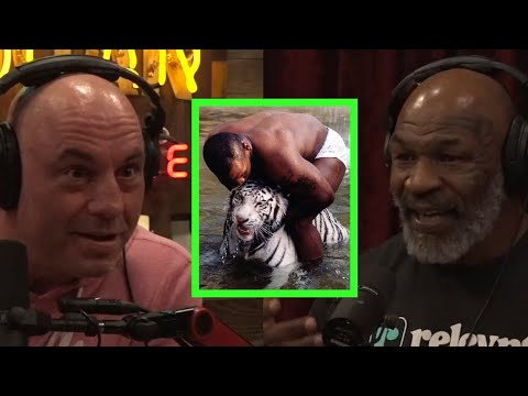 Mike Tyson Talks About Tigers