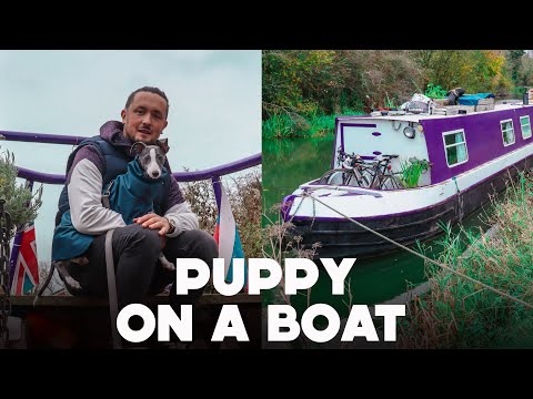 Are We Getting a Narrowboat Dog? Ep.35