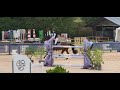 Hongre SBS 6 ans &ndash; Tr&egrave;s facile 
