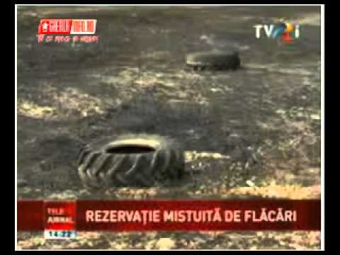 Rezervatia Lacul Stiucii de la Sacalaia distrusa de incendii de vegetatie