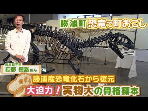 Revitalize a cidade com dinossauros! O Desafio do Paleontólogo [TV Tokushima]