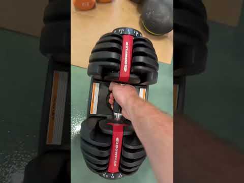 I Found the BEST Adjustable Dumbbells for HOME Workouts with BowFlex SelectTech 552