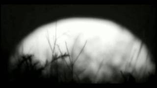 The Legendary Pink Dots - Hellowe'en