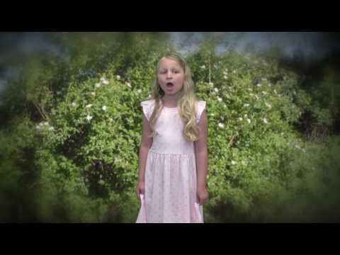 O šípkových růží