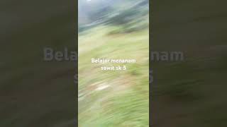 Download lagu 2 Mei 2025 mp3