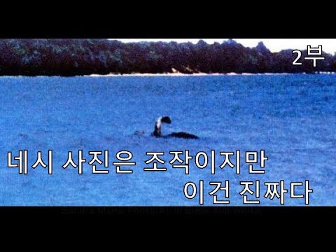 19세기 미국을 뜨겁게 달궜던 미국판 네시(2부)