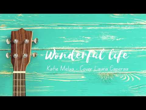 Wonderful Life   Laura CAPERAA