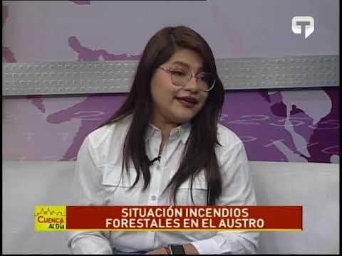 Situación incendios forestales en el Austro