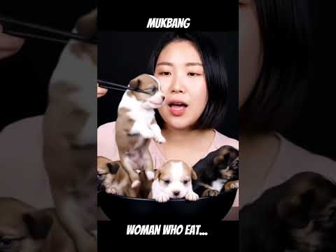 MUKBANG PART 2 - Woman who eat live puppy 🐶!?  #ai #asmr #fyp #trending #viral #mukbang #everyone