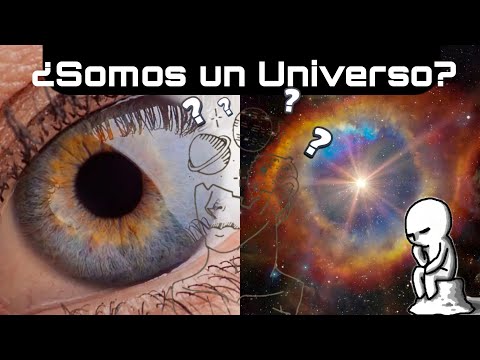 ¿El Mismo Diseño? | Sorprendentes Similitudes entre el Cuerpo Humano y el Universo