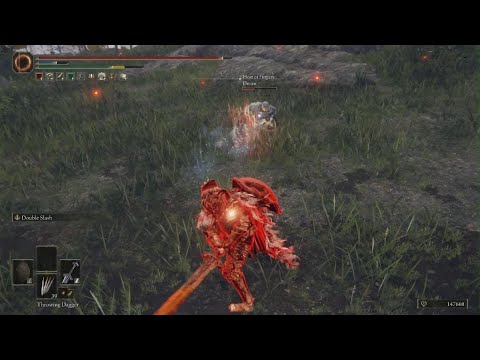 OVERPOWERED regen glitch in Elden Ring