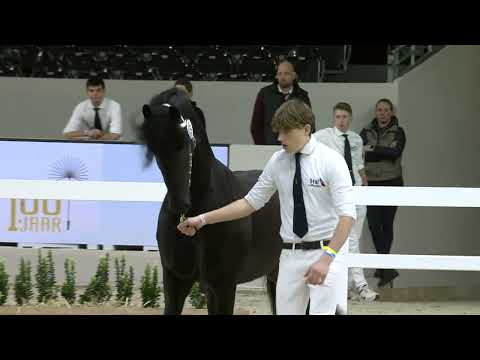 HK 2026 – Rubriek 1 Deel 1 – Vrijdag 16 januari  – Tweede bezichtiging