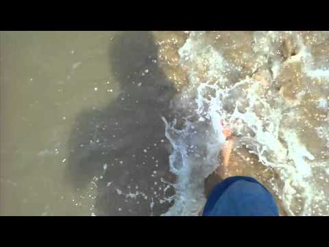 hamid ahsas at the beach