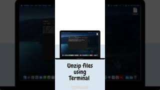 How to unzip files using Terminal in MacOS | Tex Domain #shorts