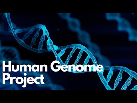 Unlock the Secrets of the Human Genome in 20 Minutes!