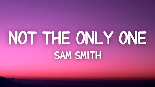 Sam Smith - I'm Not The Only One