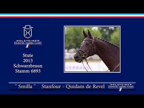 Holsteiner Sommerauktion 2019 | Nr. 16 - Smilla v. Stanfour - Quidam de Revel