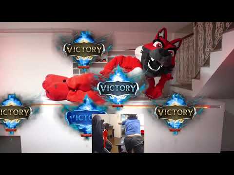 O Lobo Vai Comer Seu- RedCanids