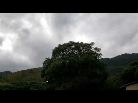 Tania Maria (with Eddie Gomez & Campbell), Santa Cruz (1986)