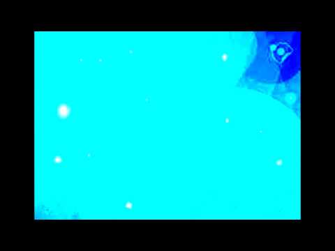 angius veronica last christmas