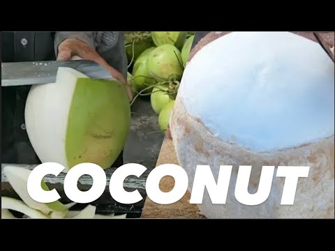 ASIA STREET FOOD: AMAZING COCONUT, MASTER CUTTING SKILLS!  #AMAZING, #FOOD